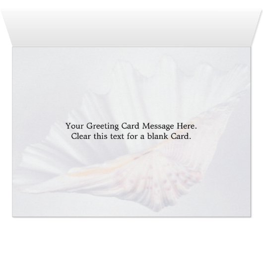 giant clam shell for decorative use (Inside Horizontal (Bottom))