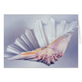 giant clam shell for decorative use (Front Horizontal)