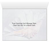 giant clam shell for decorative use cards (Inside Horizontal (Bottom))