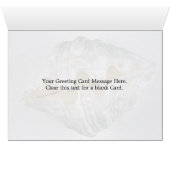 giant clam shell for decorative use cards (Inside Horizontal (Bottom))