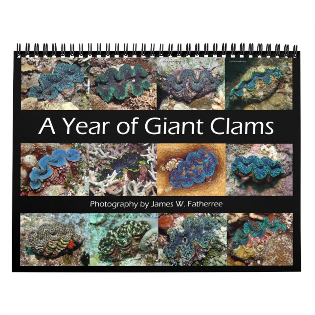 Giant Clams Wall Calendar 1 by James W. Fatherree. (Cover)