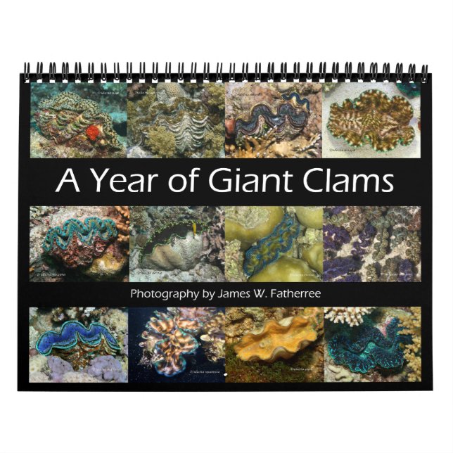 Giant Clams Wall Calendar 2 by James W. Fatherree. (Cover)