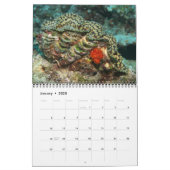 Giant Clams Wall Calendar 2 by James W. Fatherree. (Jan 2025)