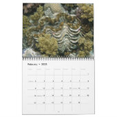 Giant Clams Wall Calendar 2 by James W. Fatherree. (Feb 2025)