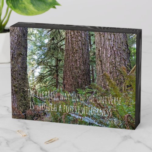 Giant Conifer Forest Photo with John Muir Quote Wooden Box Sign