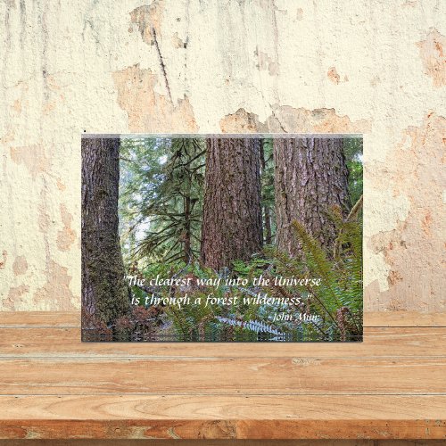 Giant Conifer Forest with John Muir Quote Photo Block