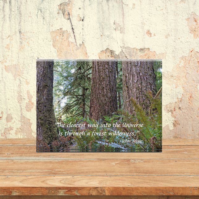 Giant Conifer Forest with John Muir Quote Photo Block (In Situ)