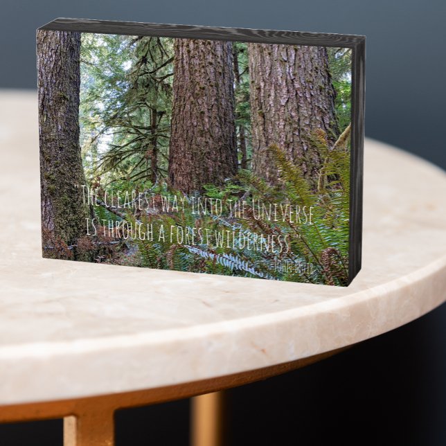 Giant Conifer Forest with John Muir Quote Wooden Box Sign (In Situ Table)