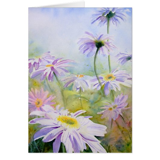 Giant Daisies Cards (Front)