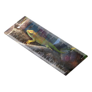 Giant Day Gecko 6-inch Ruler
