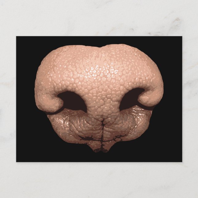 Giant Dog Nose Postcard (Front)