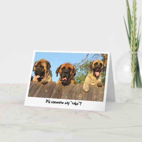 Giant Dogs peering over the fence birthday card