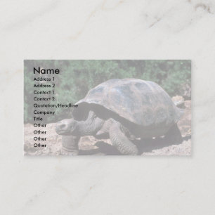 Giant Dome-Shaped Tortoise Walking Business Card