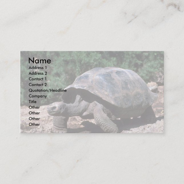 Giant Dome-Shaped Tortoise Walking Business Card (Front)
