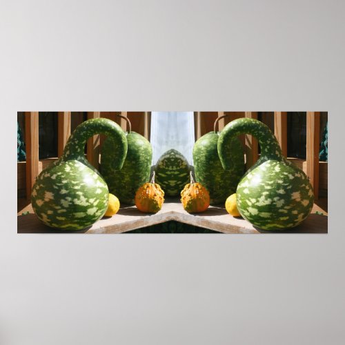 Giant Fancy Gourds Fall Mirror Abstract Poster