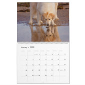 Giant Fluffies Calendar (Jan 2025)