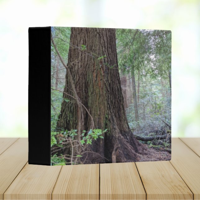 Giant Forest Conifer Tree 3 Ring Binder (In Situ Angled)