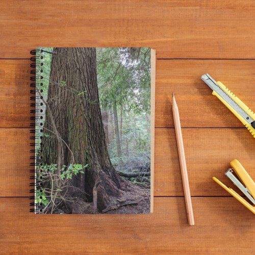Giant Forest Conifer Tree Notebook