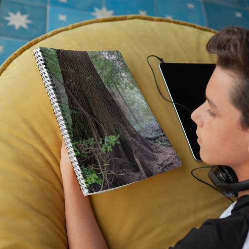 Giant Forest Conifer Tree Notebook