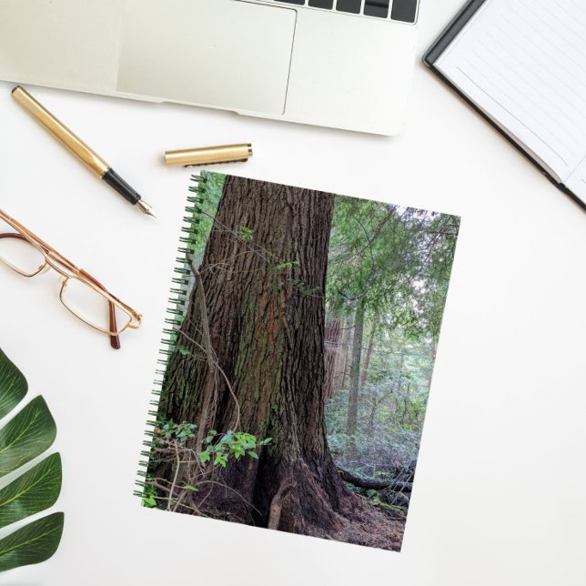 Giant Forest Conifer Tree Notebook (In Situ)