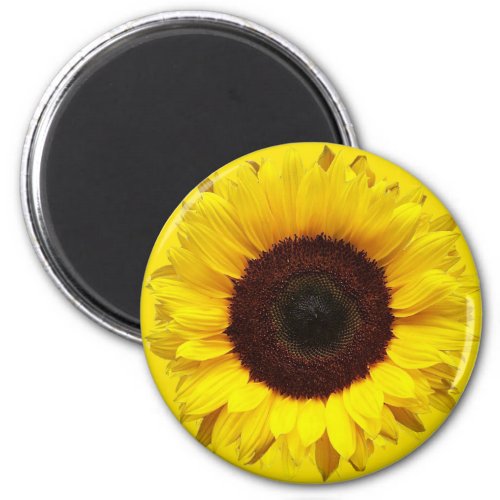 Giant Garden Sunflower on Golden Yellow Background Magnet