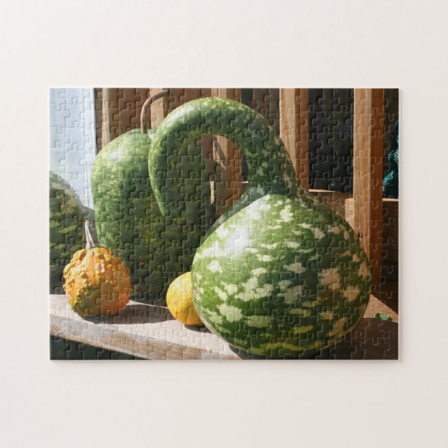 Giant Gourds Autumn  Jigsaw Puzzle (Horizontal)