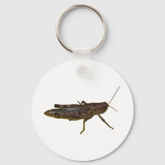 Giant Grasshopper Keychain