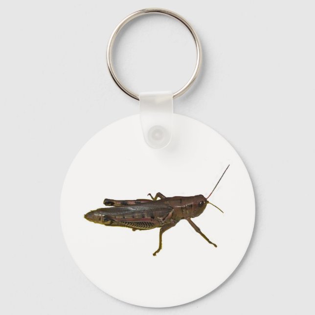 Giant Grasshopper Keychain (Front)