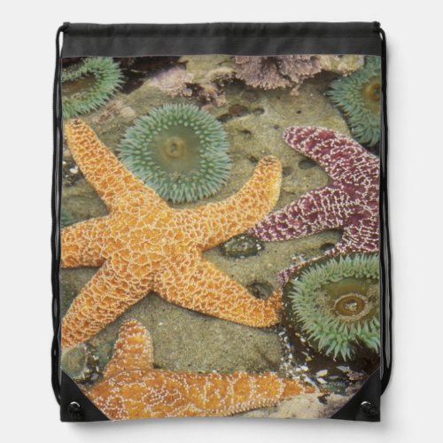 Giant green anemones and ochre sea stars drawstring bag