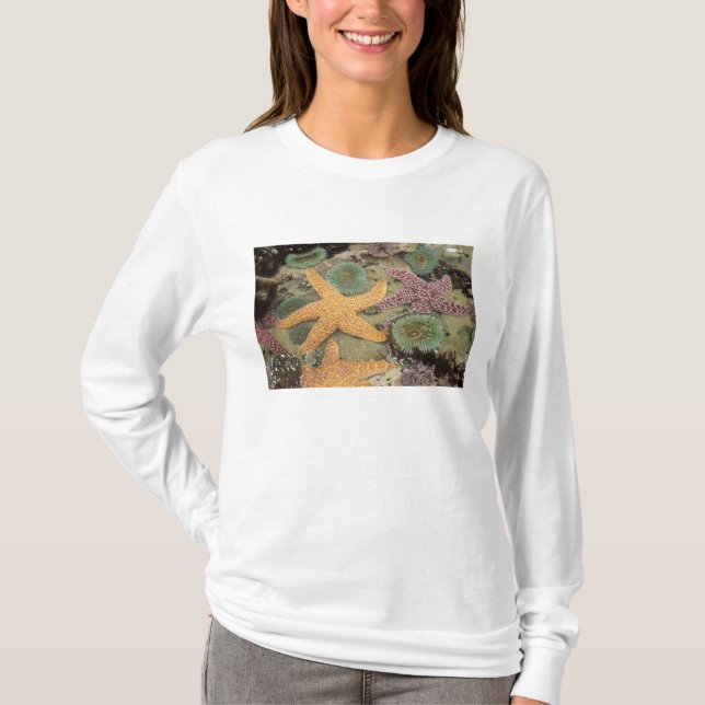 Giant green anemones and ochre sea stars T-Shirt (Front)