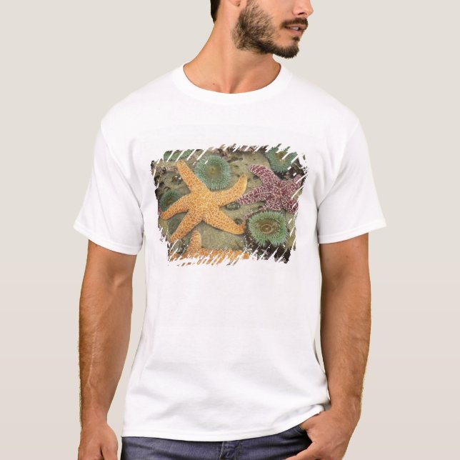 Giant green anemones and ochre sea stars T-Shirt (Front)