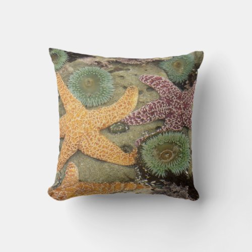 Giant green anemones and ochre sea stars throw pillow