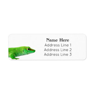 Giant Green Day Gecko - grandis Return address Label