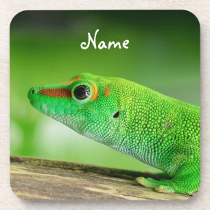 Giant Green Day Gecko - Phelsuma grandis Beverage Coaster
