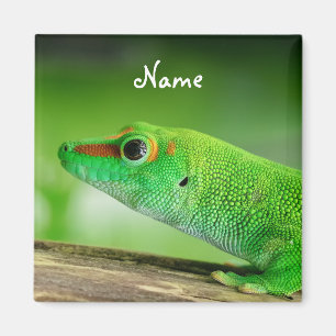 Giant Green Day Gecko - Phelsuma grandis Magnet