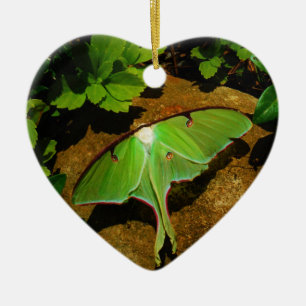 Giant Green Luna moth Ceramic Ornament