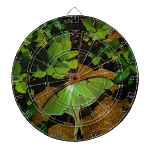 Giant Green Luna moth Dart Board