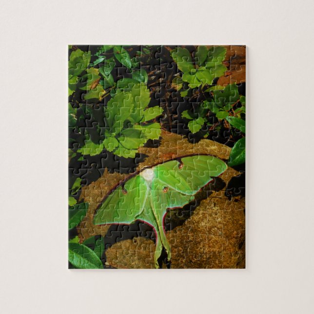Giant Green Luna moth Jigsaw Puzzle (Vertical)