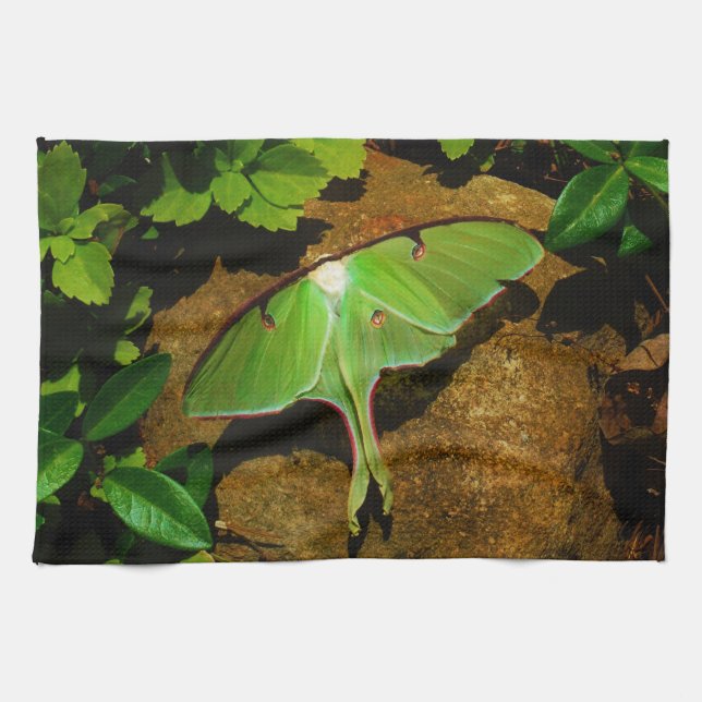 Giant Green Luna moth Kitchen Towel (Horizontal)