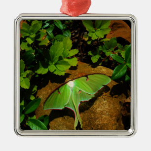Giant Green Luna moth Metal Ornament