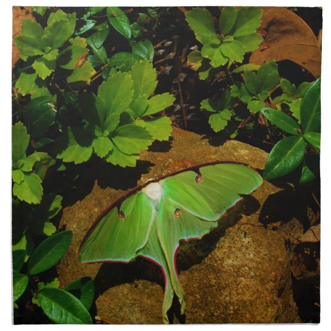 Giant Green Luna moth Napkin (Front)
