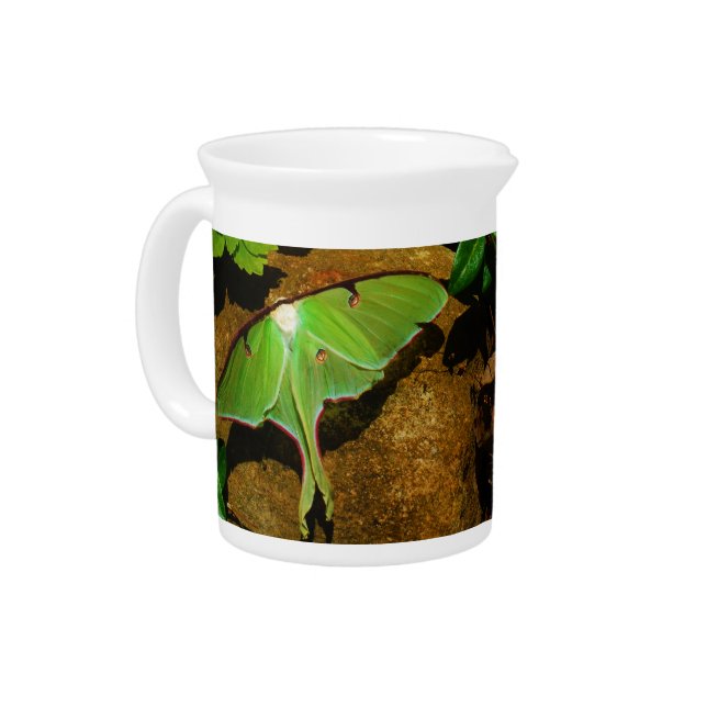 Giant Green Luna moth Pitcher (Left)