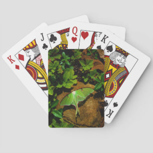 Giant Green Luna moth Poker Cards