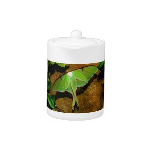 Giant Green Luna moth Teapot