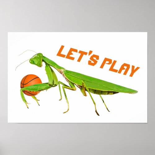 Giant Green Praying Mantis Basketball Poster