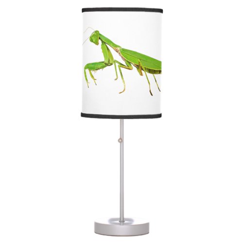 Giant Green Praying Mantis Lamp