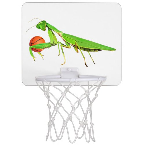 Giant Green Praying Mantis Mini Basketball Hoop