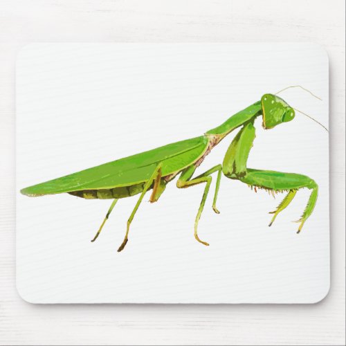 Giant Green Praying Mantis Mouse Pad