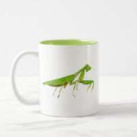 Giant Green Praying Mantis Mug