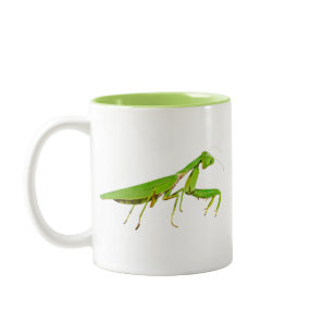 Giant Green Praying Mantis Mug